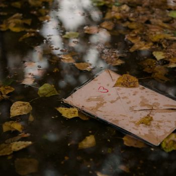 तू फक्त माझ्या भावनांचे खेळणे केले