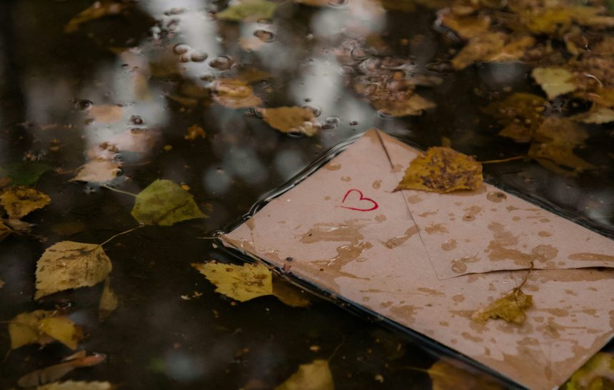 तू फक्त माझ्या भावनांचे खेळणे केले