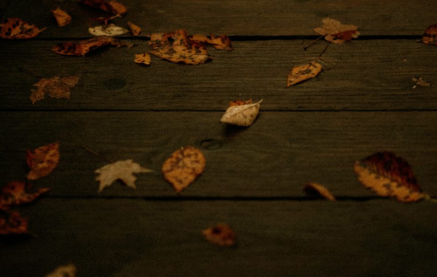 दूर केले मी पूर्वग्रह सारे