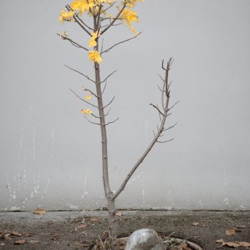 आयुष्यात अनेक घाट्याचे सौदे पाहिले