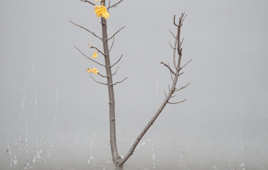 आयुष्यात अनेक घाट्याचे सौदे पाहिले