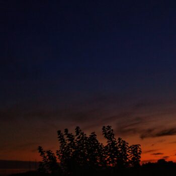 काय ओळखलेस तू मला जर